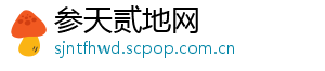 参天贰地网